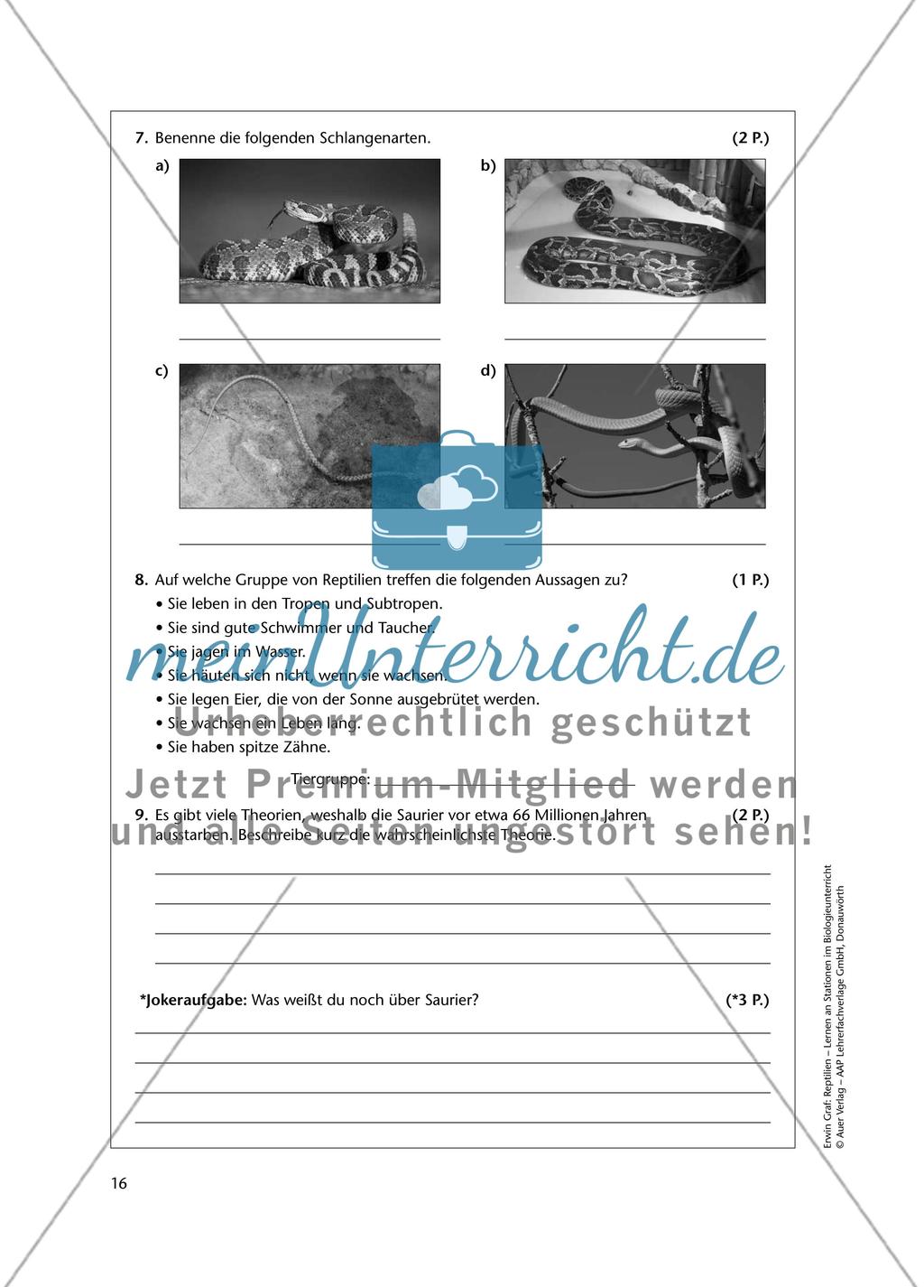 Test zum Thema „Reptilien“ Preview 4