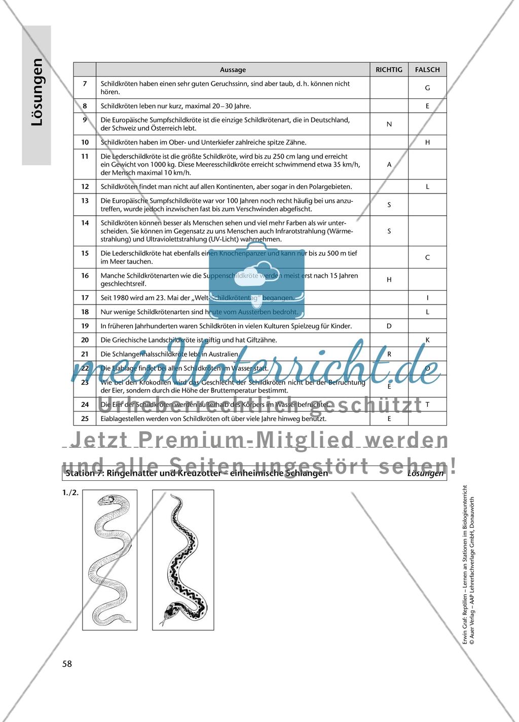 Lösungen Preview 6