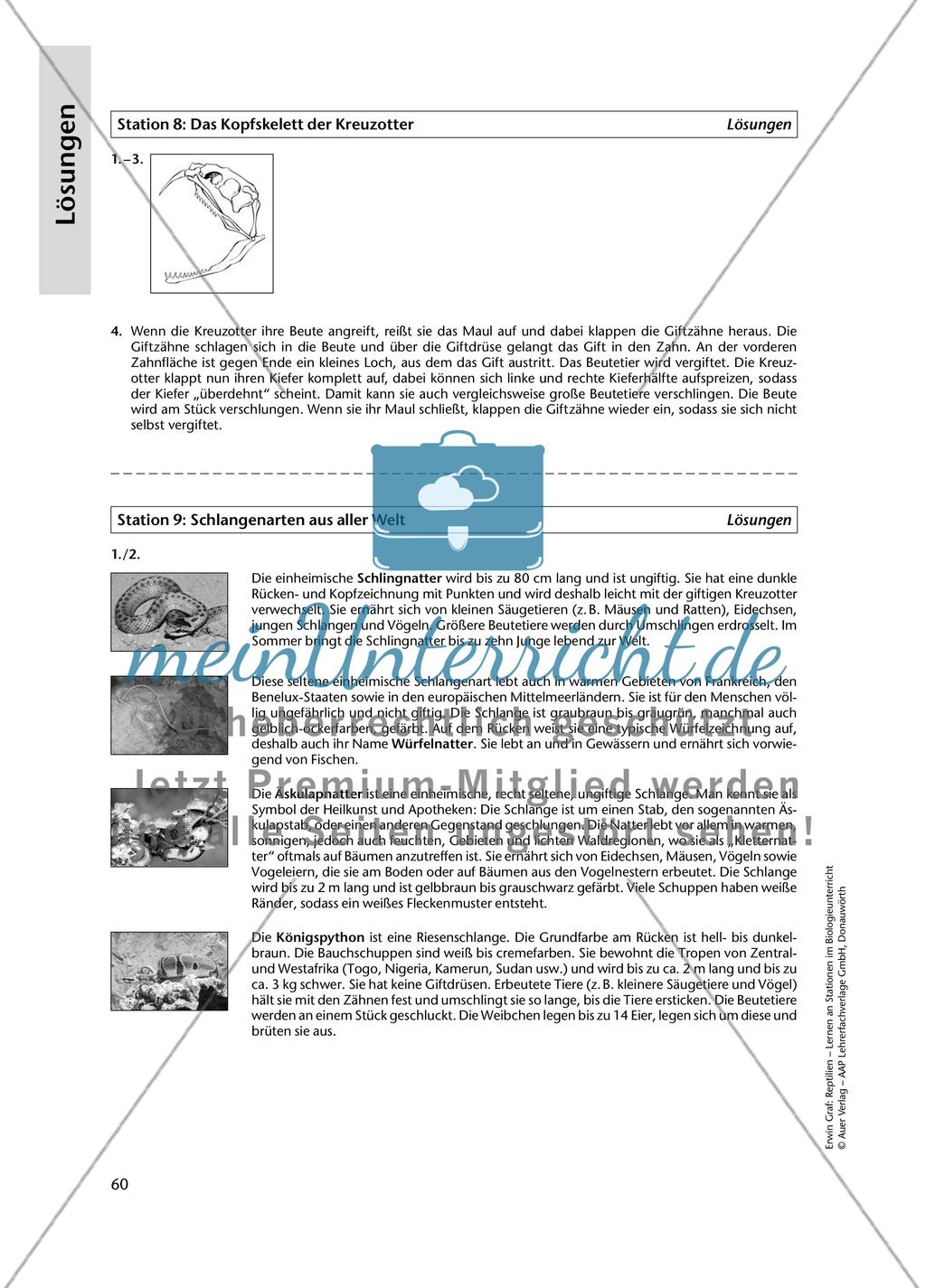 Lösungen Preview 8
