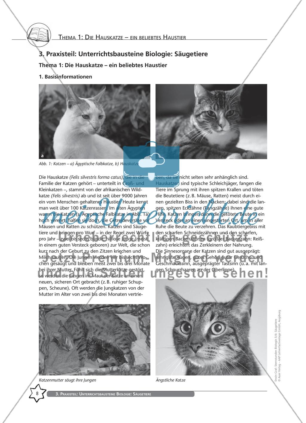Thema 1: Die Hauskatze – ein beliebtes Haustier Preview 1