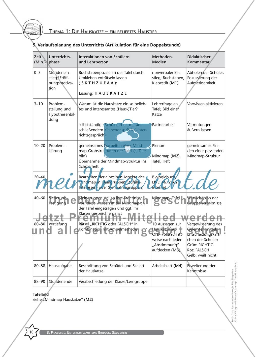 Thema 1: Die Hauskatze – ein beliebtes Haustier Preview 3