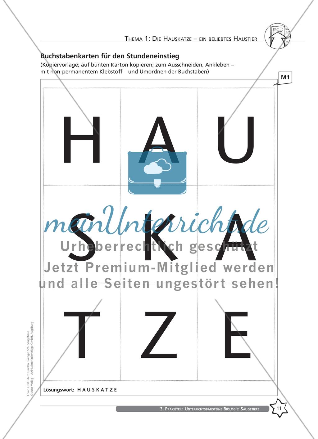 Thema 1: Die Hauskatze – ein beliebtes Haustier Preview 4