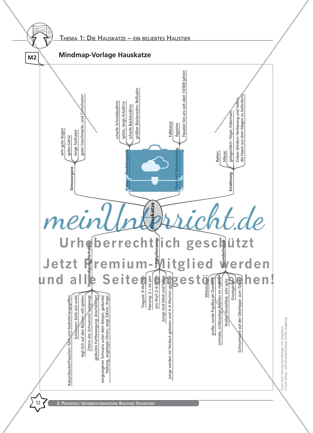 Thema 1: Die Hauskatze – ein beliebtes Haustier Preview 5