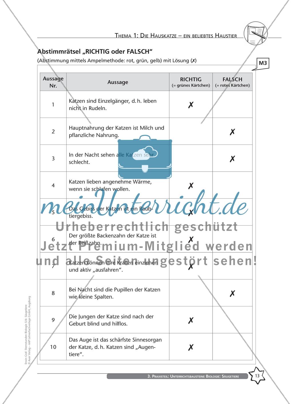 Thema 1: Die Hauskatze – ein beliebtes Haustier Preview 6