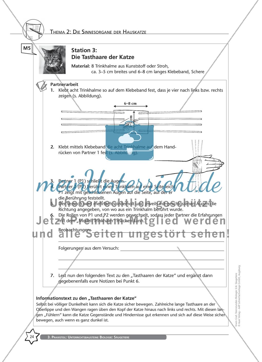 Thema 2: Die Sinnesorgane der Hauskatze Preview 10