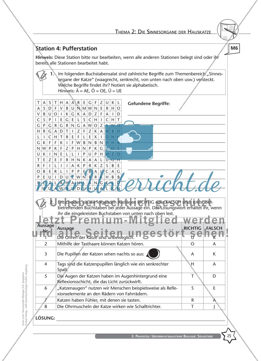 Thema 2: Die Sinnesorgane der Hauskatze Preview 11