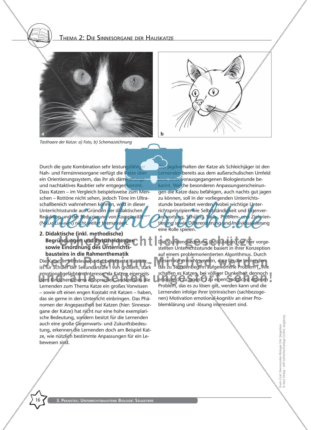Thema 2: Die Sinnesorgane der Hauskatze Preview 2
