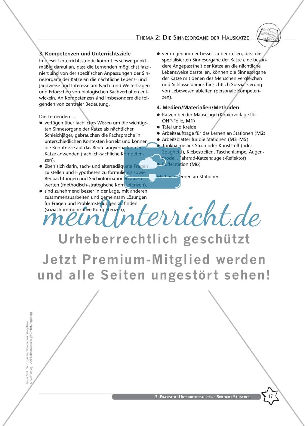 Thema 2: Die Sinnesorgane der Hauskatze Preview 3