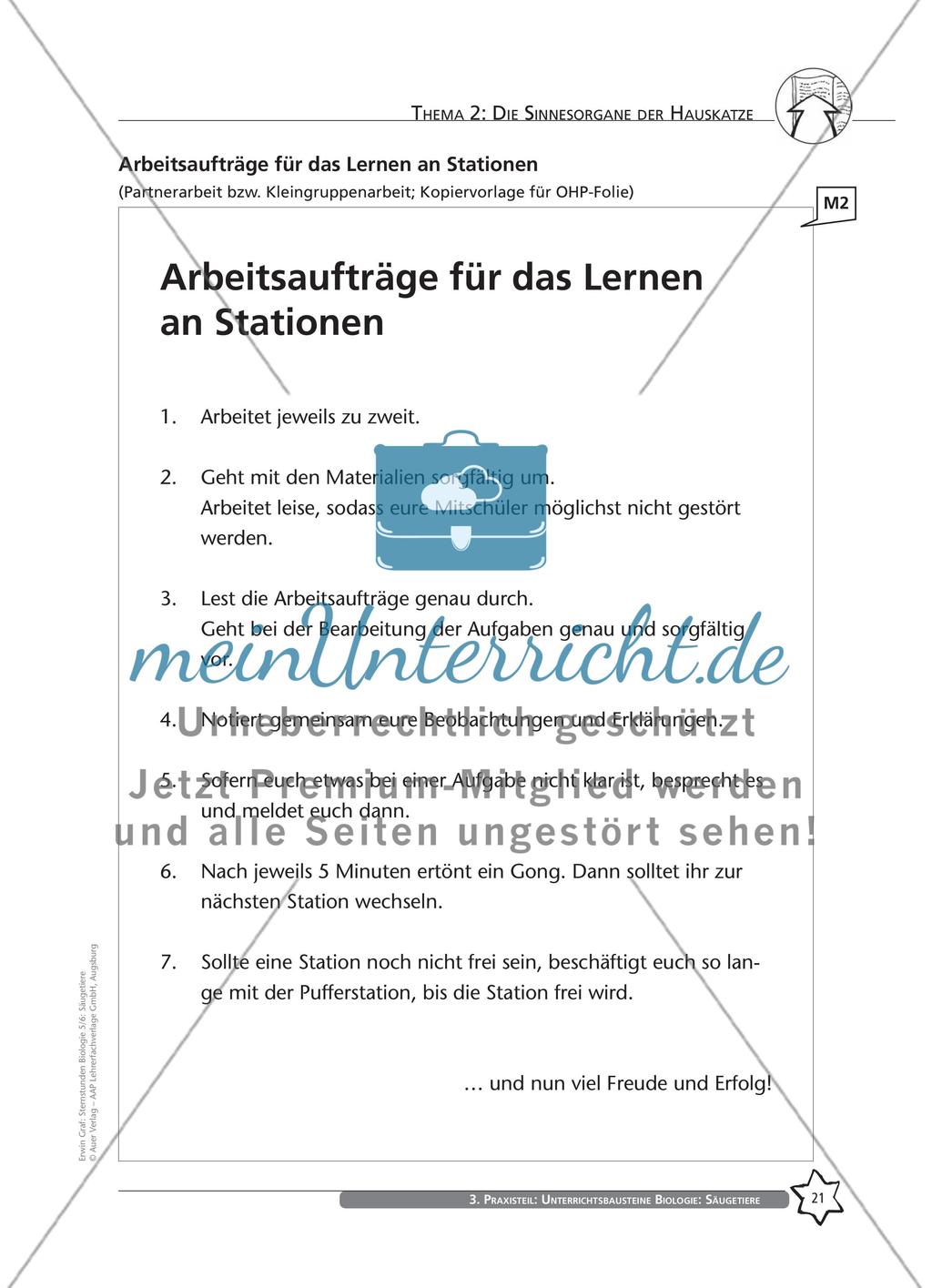 Thema 2: Die Sinnesorgane der Hauskatze Preview 7