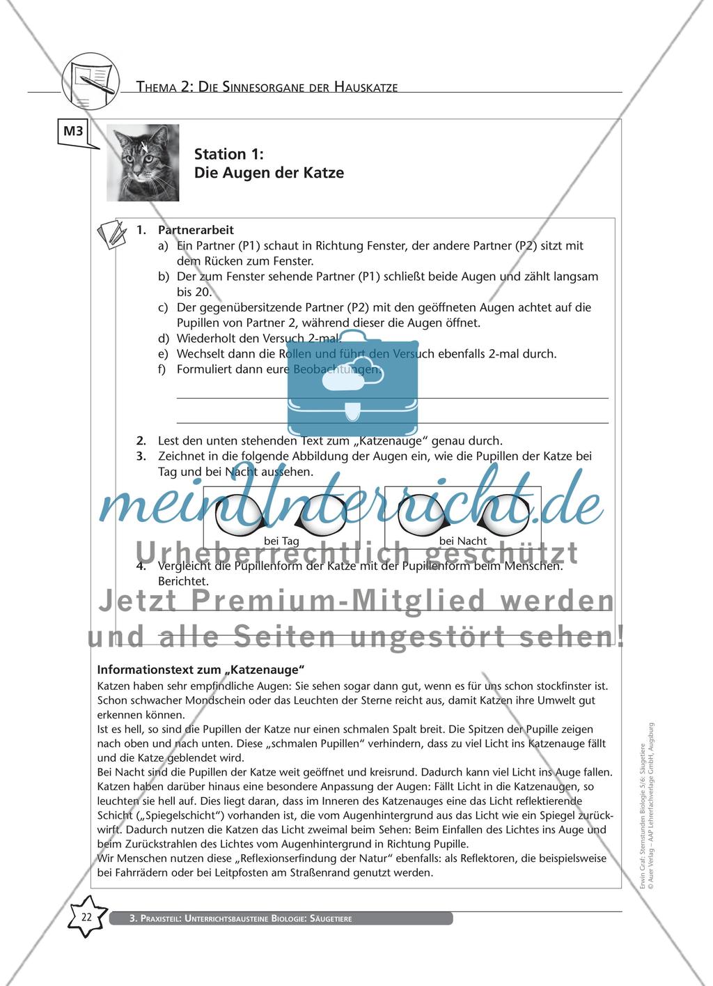 Thema 2: Die Sinnesorgane der Hauskatze Preview 8