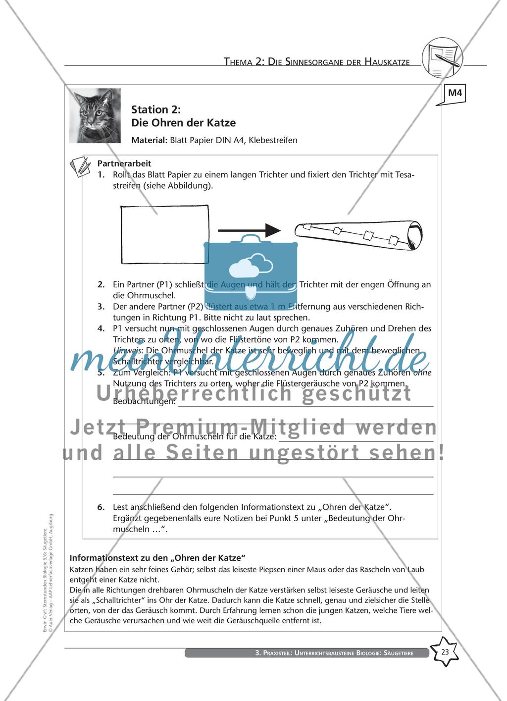 Thema 2: Die Sinnesorgane der Hauskatze Preview 9