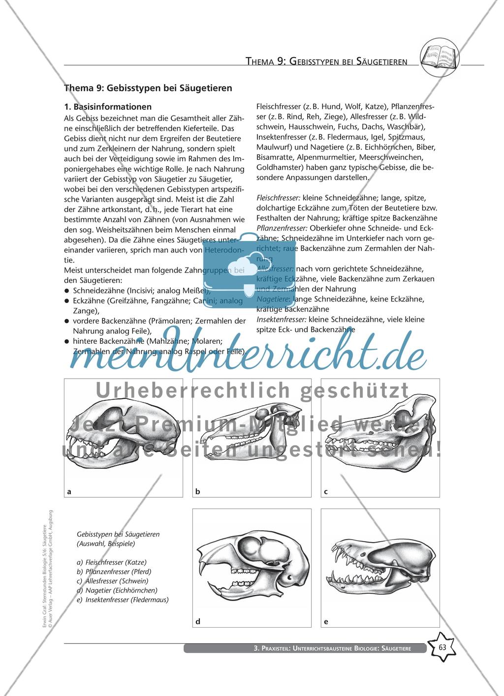 Thema 9: Gebisstypen bei Säugetieren Preview 1