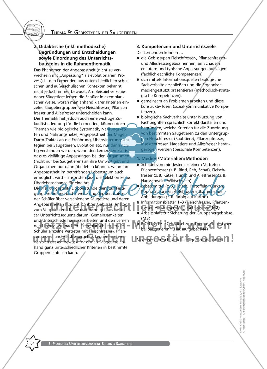 Thema 9: Gebisstypen bei Säugetieren Preview 2