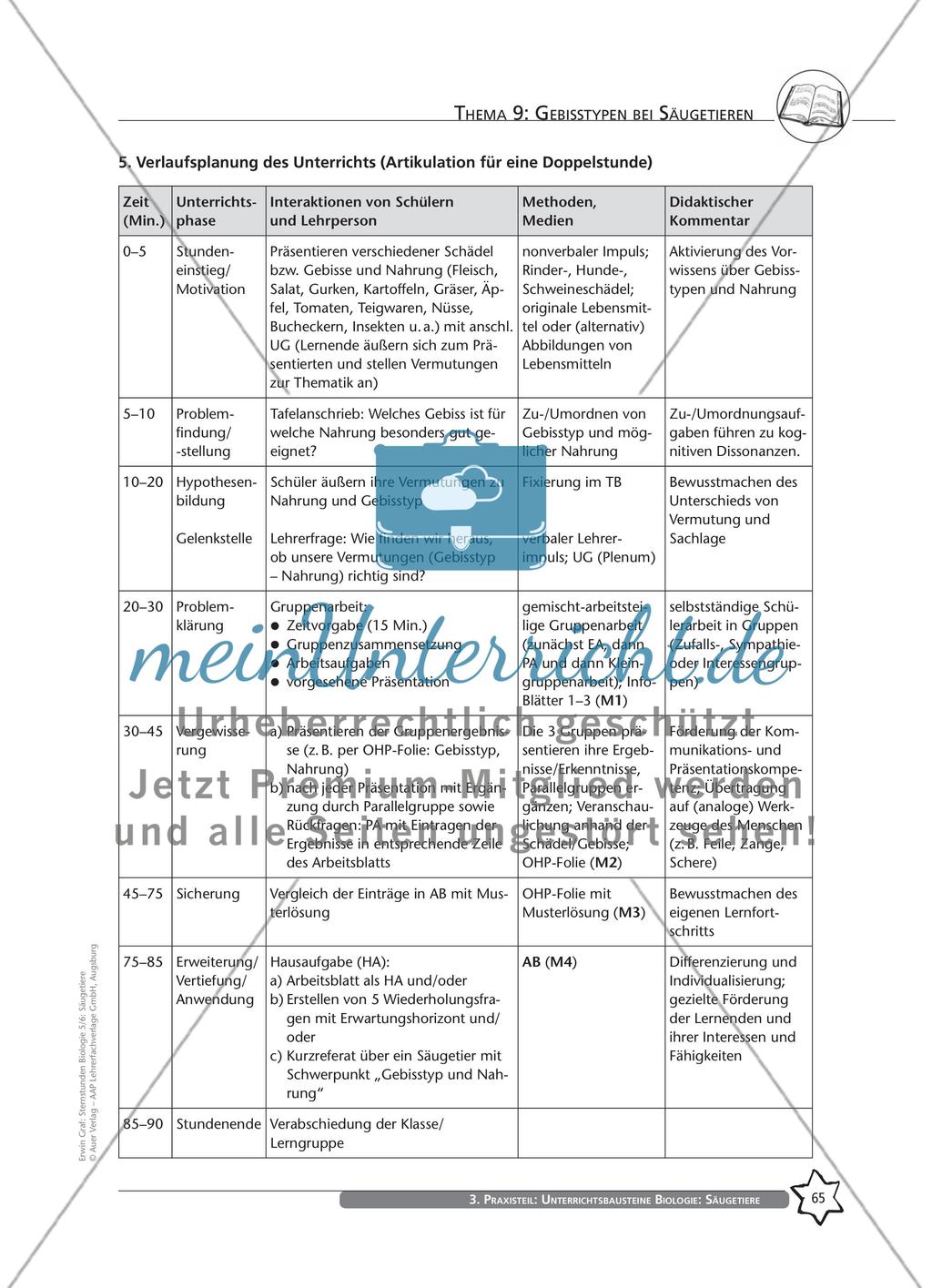 Thema 9: Gebisstypen bei Säugetieren Preview 3