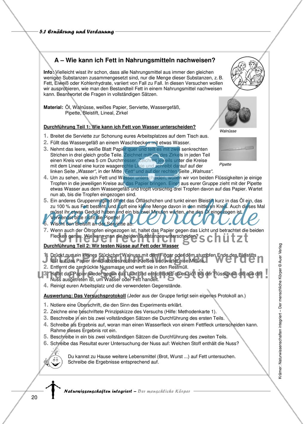 Ernährung und Verdauung Preview 4