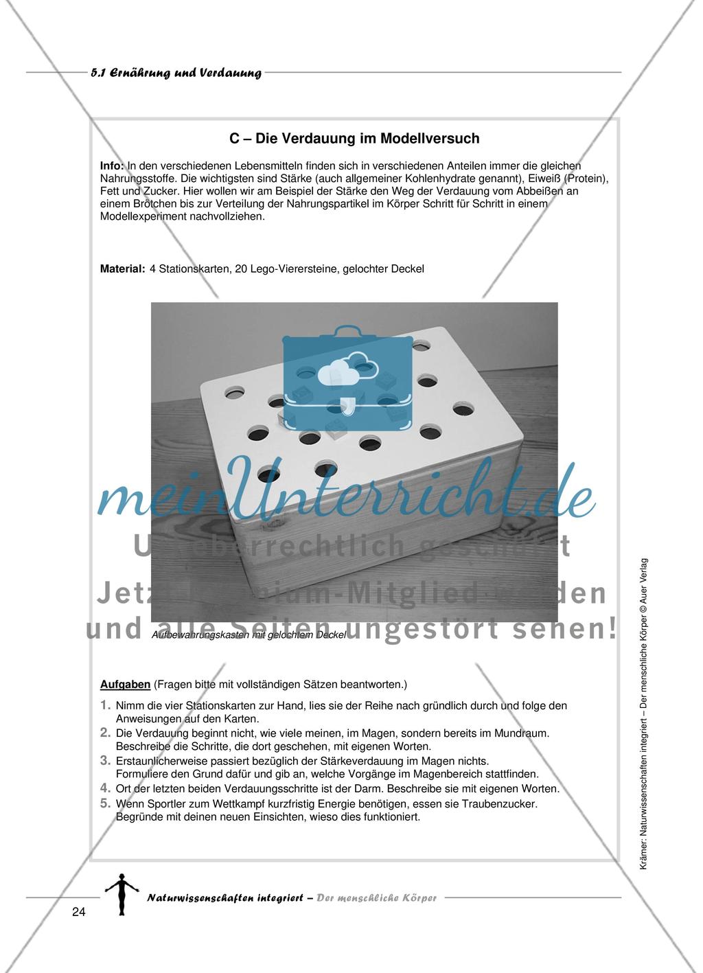 Ernährung und Verdauung Preview 8
