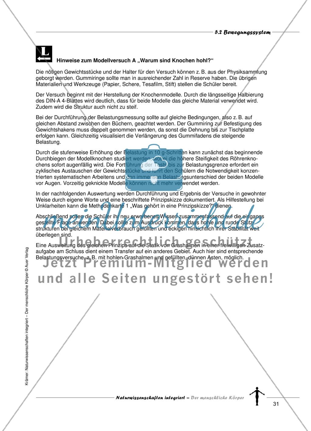 Bewegungssystem Preview 5
