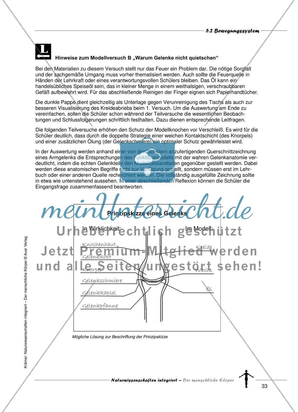 Bewegungssystem Preview 7