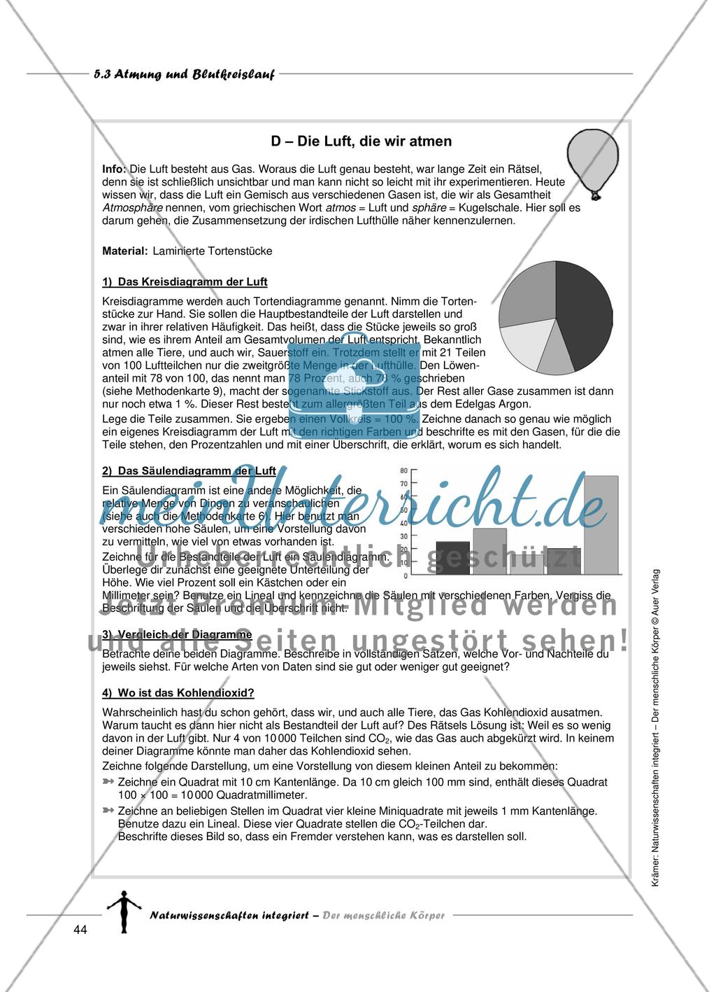 Atmung und Blutkreislauf Preview 11