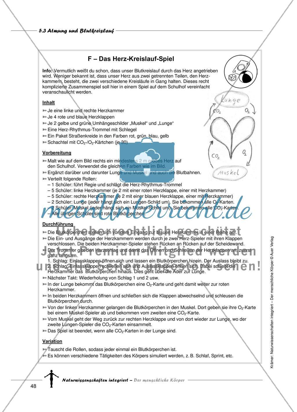 Atmung und Blutkreislauf Preview 15