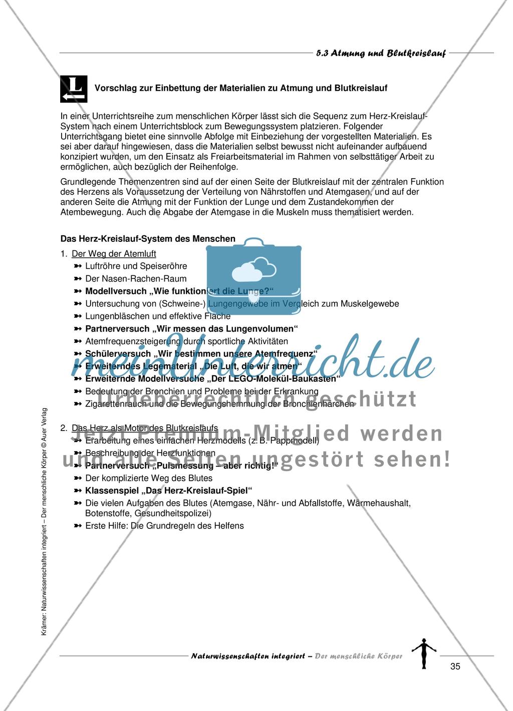 Atmung und Blutkreislauf Preview 2