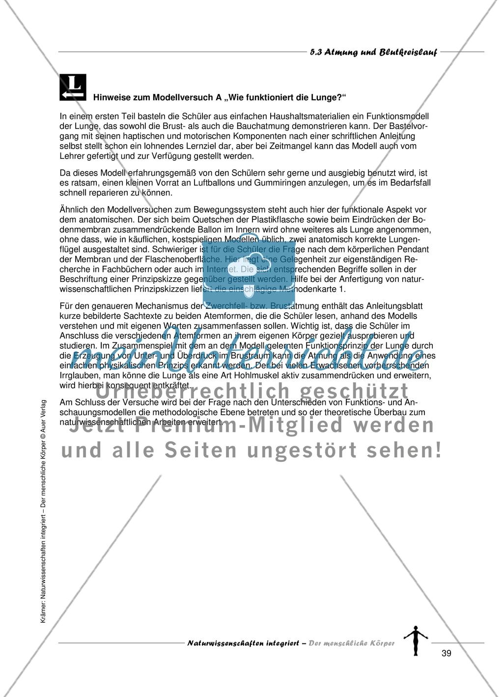Atmung und Blutkreislauf Preview 6