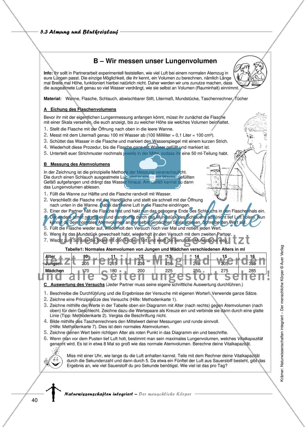 Atmung und Blutkreislauf Preview 7