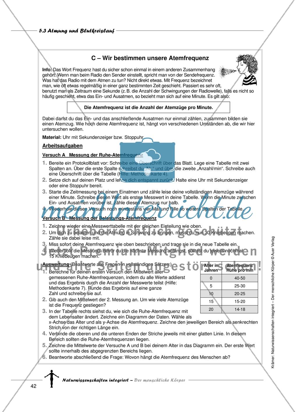Atmung und Blutkreislauf Preview 9