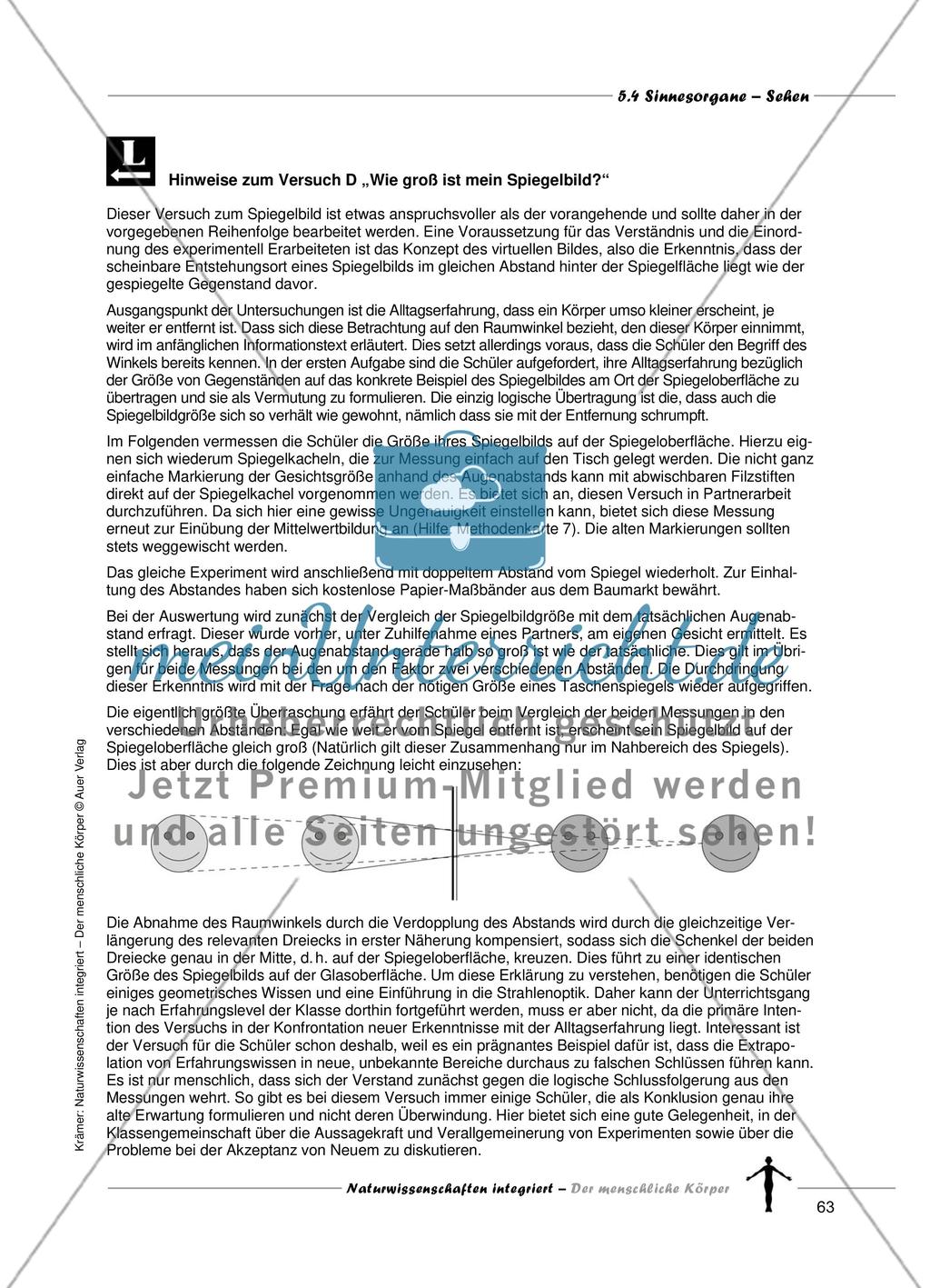 Sinnesorgane: Sehen Preview 11