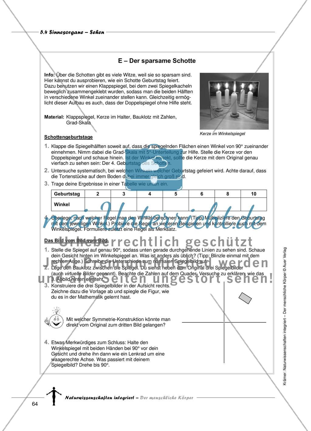Sinnesorgane: Sehen Preview 12