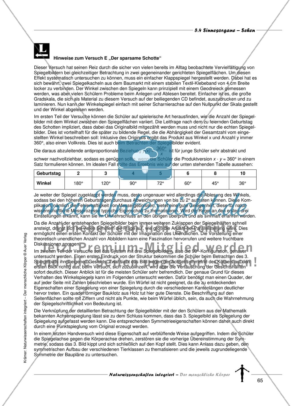 Sinnesorgane: Sehen Preview 13