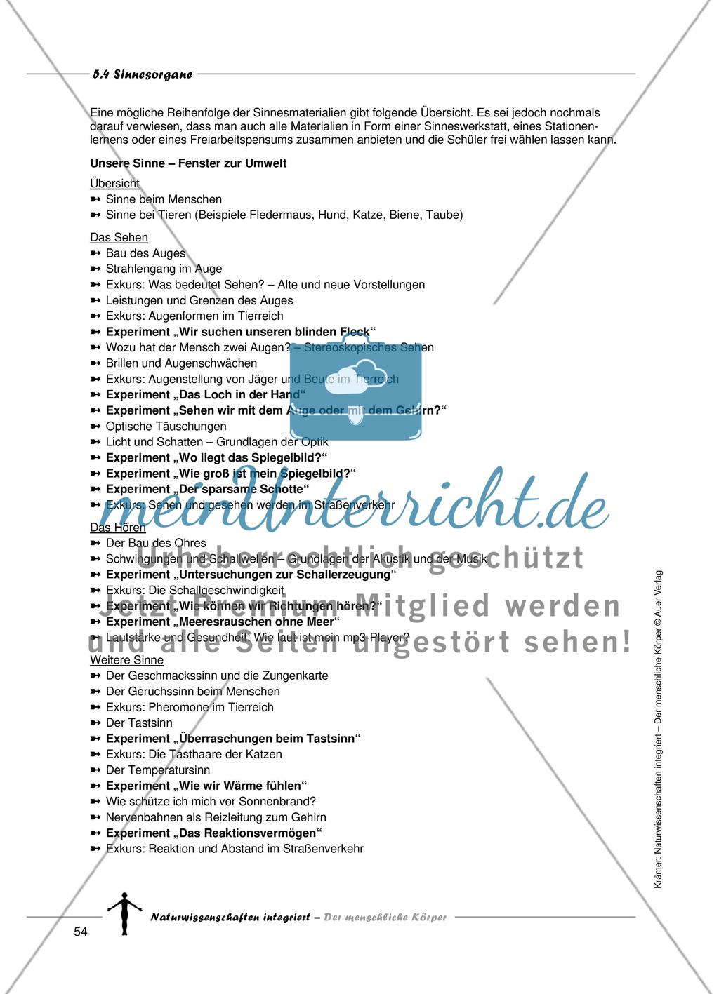 Sinnesorgane: Sehen Preview 2
