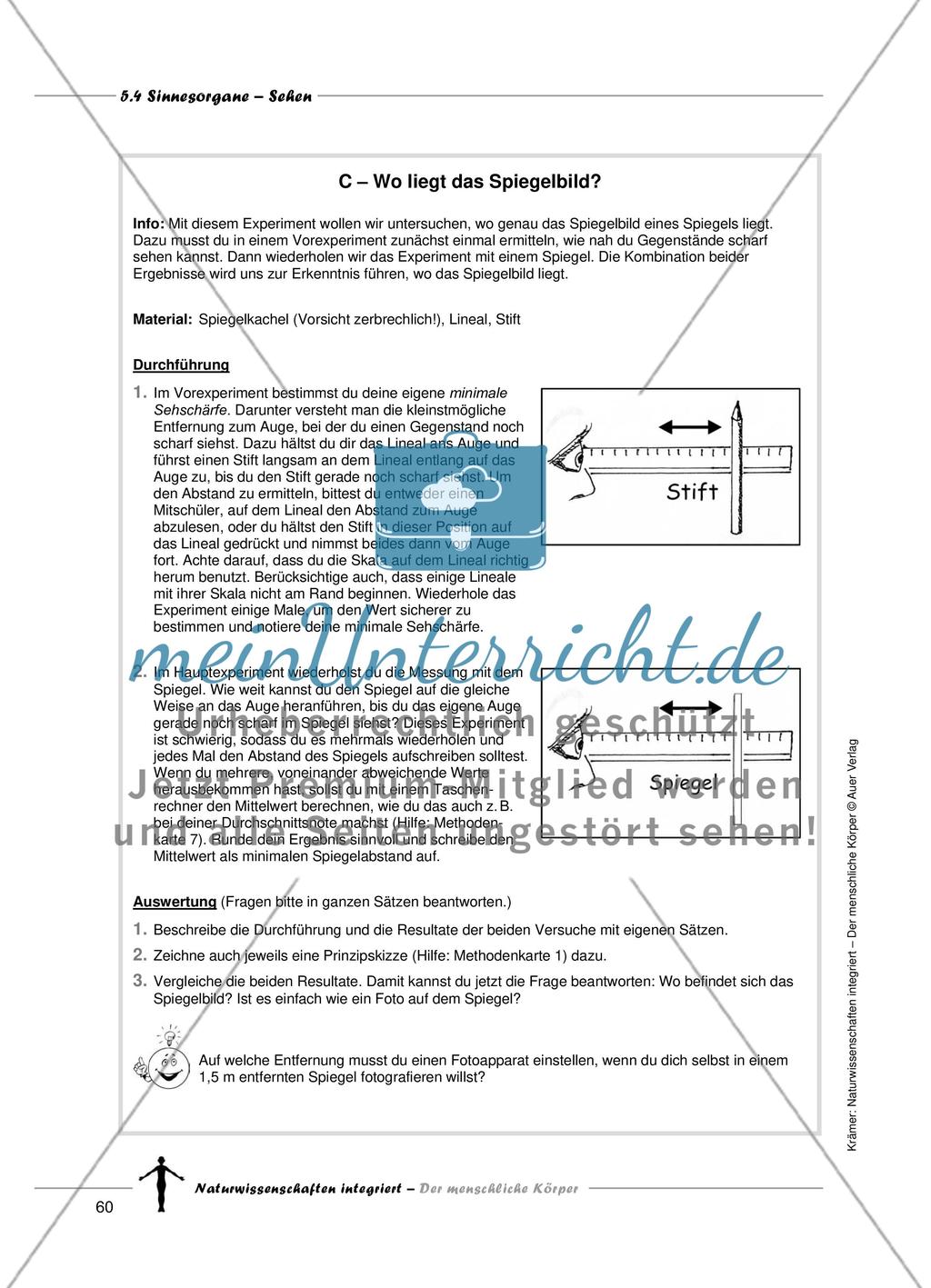 Sinnesorgane: Sehen Preview 8