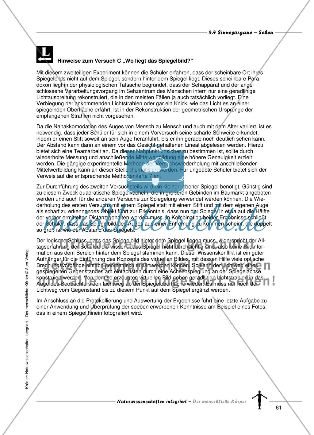 Sinnesorgane: Sehen Preview 9