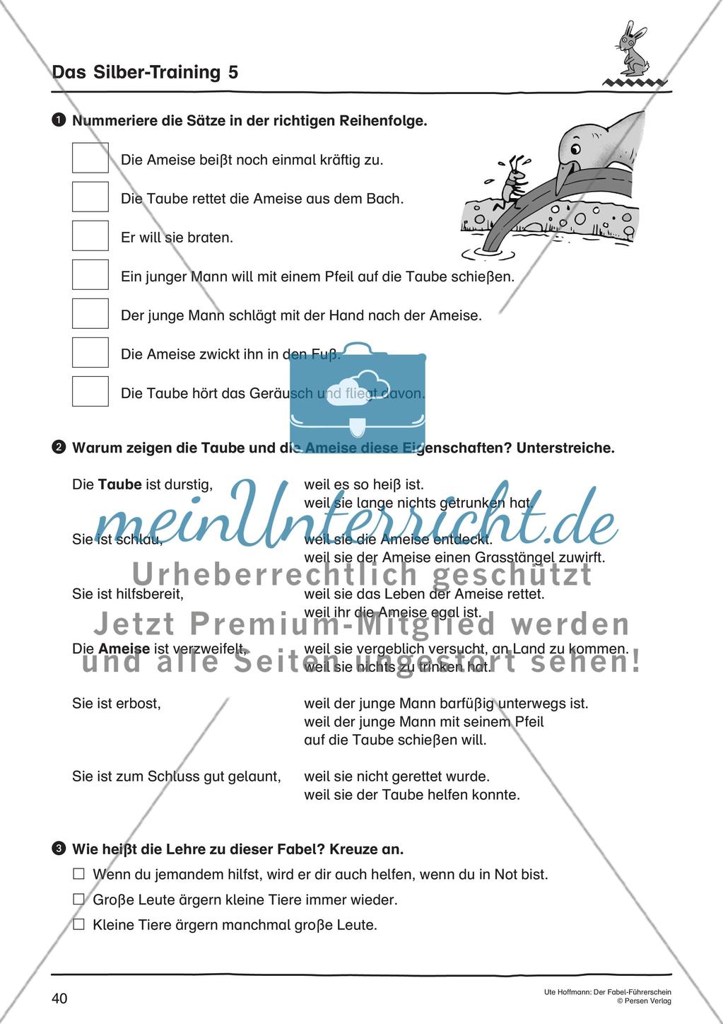 Das Silber-Training Preview 13