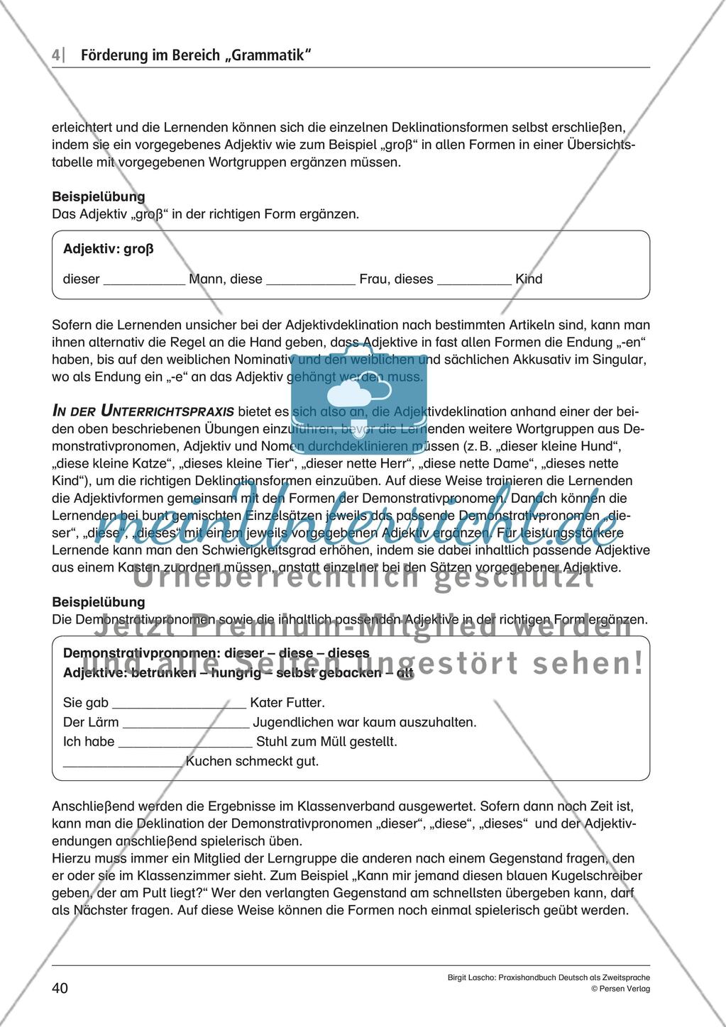Förderung im Bereich „Grammatik“ - Teil 2 Preview 9