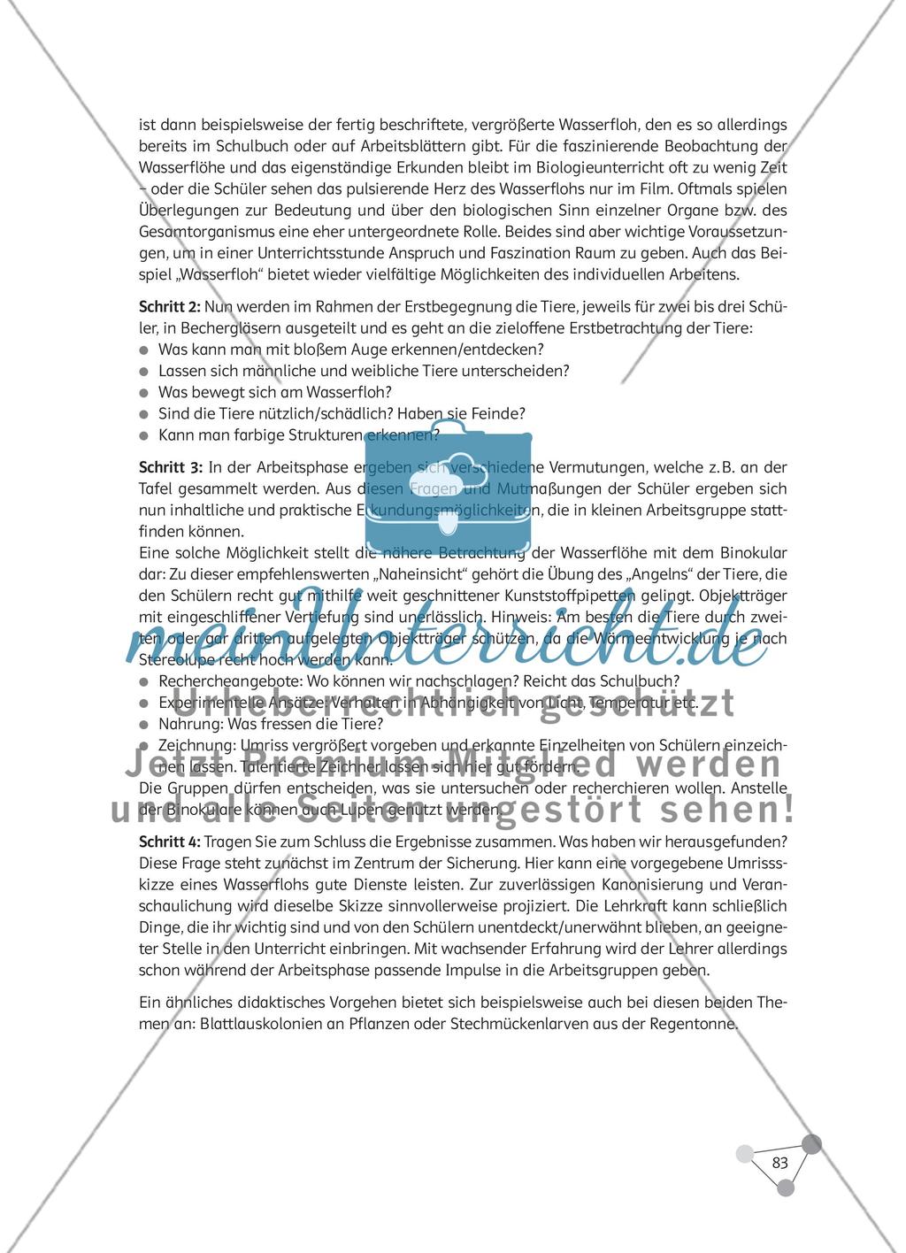 Warum ist „Faszination Biologie“ so wichtig für lernwirksamen Unterricht und wie können Unterrichtseinstiege dem Biologieunterricht den nötigen Schwung verschaffen? Preview 6