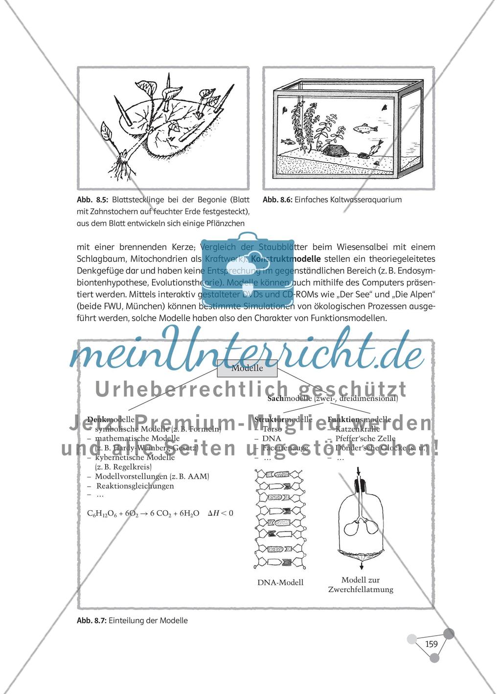 Welche Medien helfen den Schülern beim strukturierten Lernen im Biologieunterricht? Preview 14