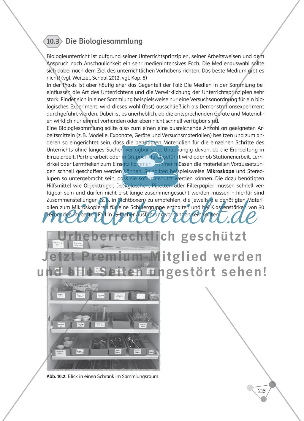 Wie können Biologiefachraum und Biologiesammlung sinnvoll gestaltet werden und die Lernwirksamkeit im Biologieunterricht fördern? Preview 5