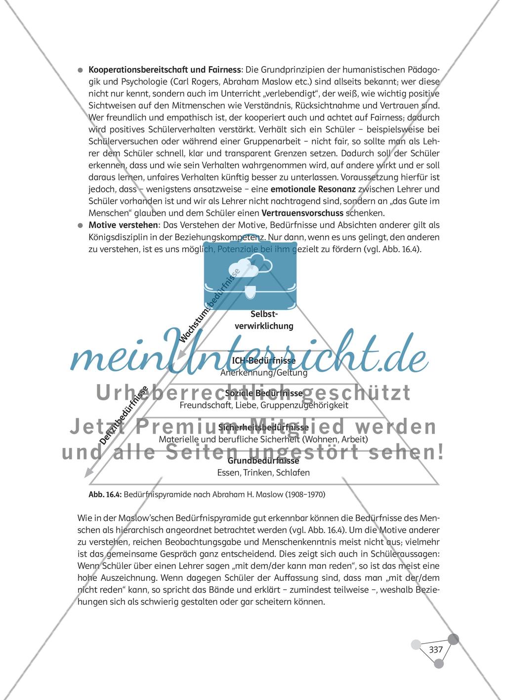 Wie gehe ich eine Prüfungslehrprobe im Fach Biologie professionell an und welche Aspekte helfen mir bei der Vorbereitung der Biologielehrprobe? Preview 12
