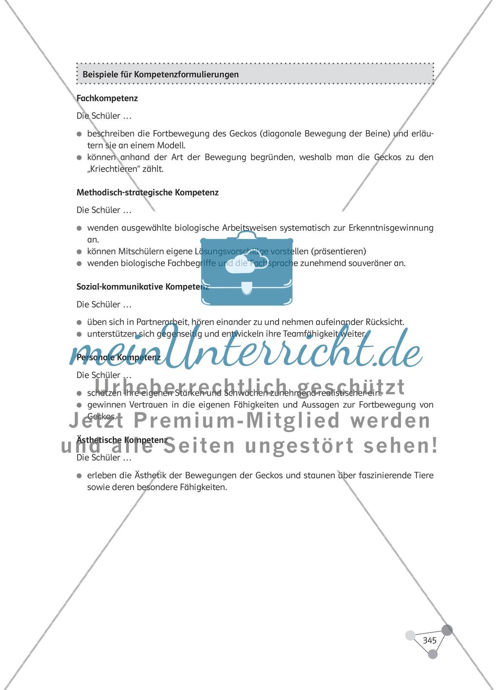 Wie gehe ich eine Prüfungslehrprobe im Fach Biologie professionell an und welche Aspekte helfen mir bei der Vorbereitung der Biologielehrprobe? Preview 20
