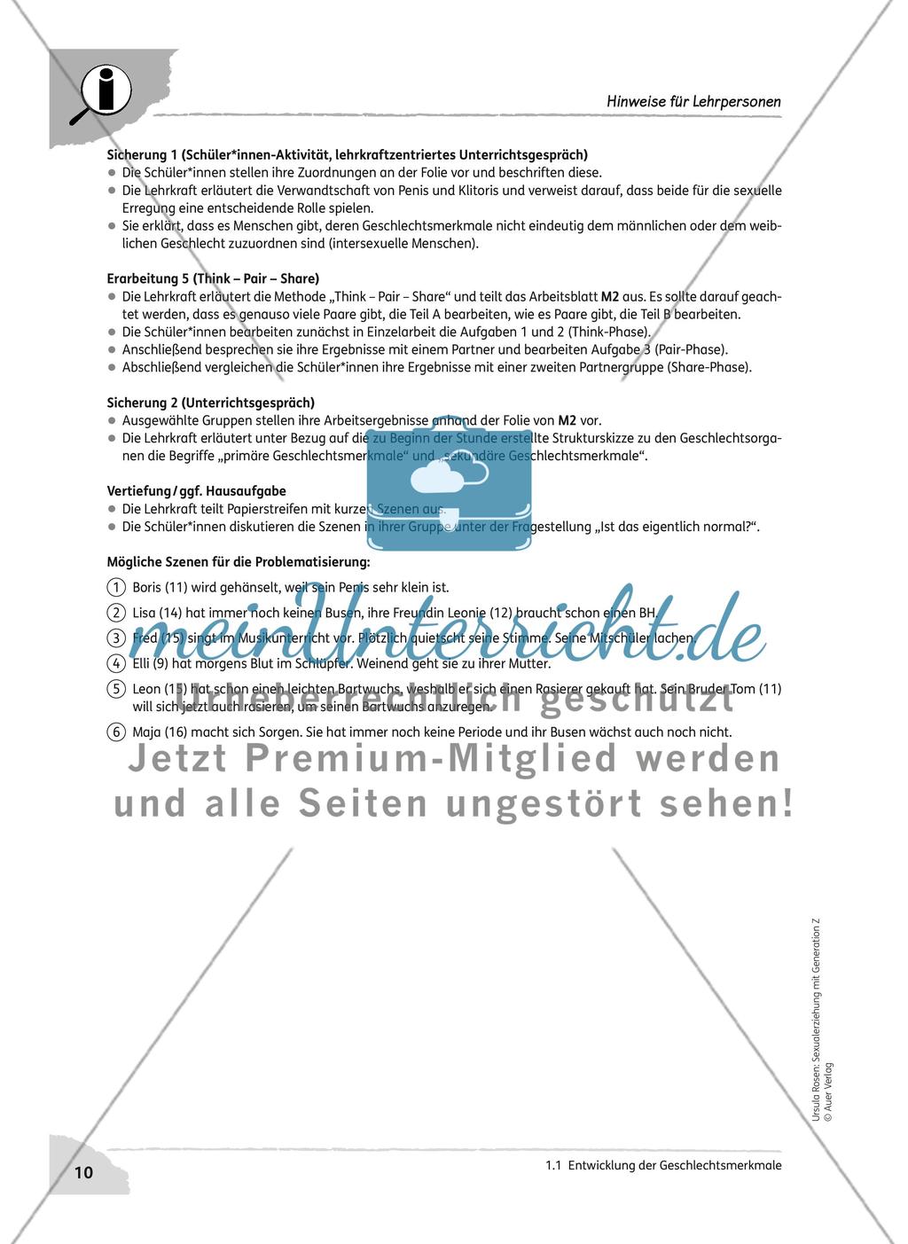 Entwicklung der Geschlechtsmerkmale Preview 2