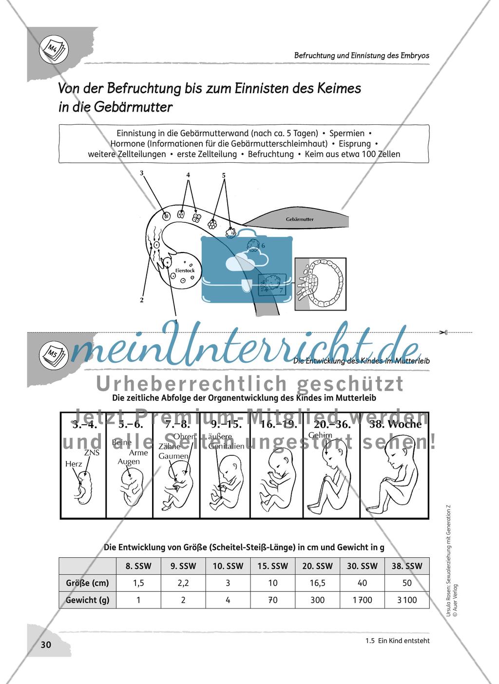 Ein Kind entsteht Preview 5