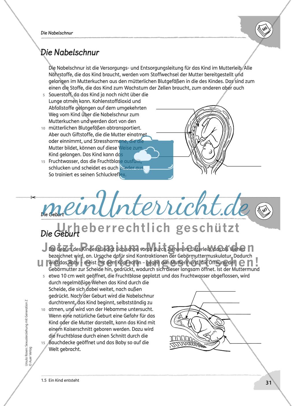 Ein Kind entsteht Preview 6