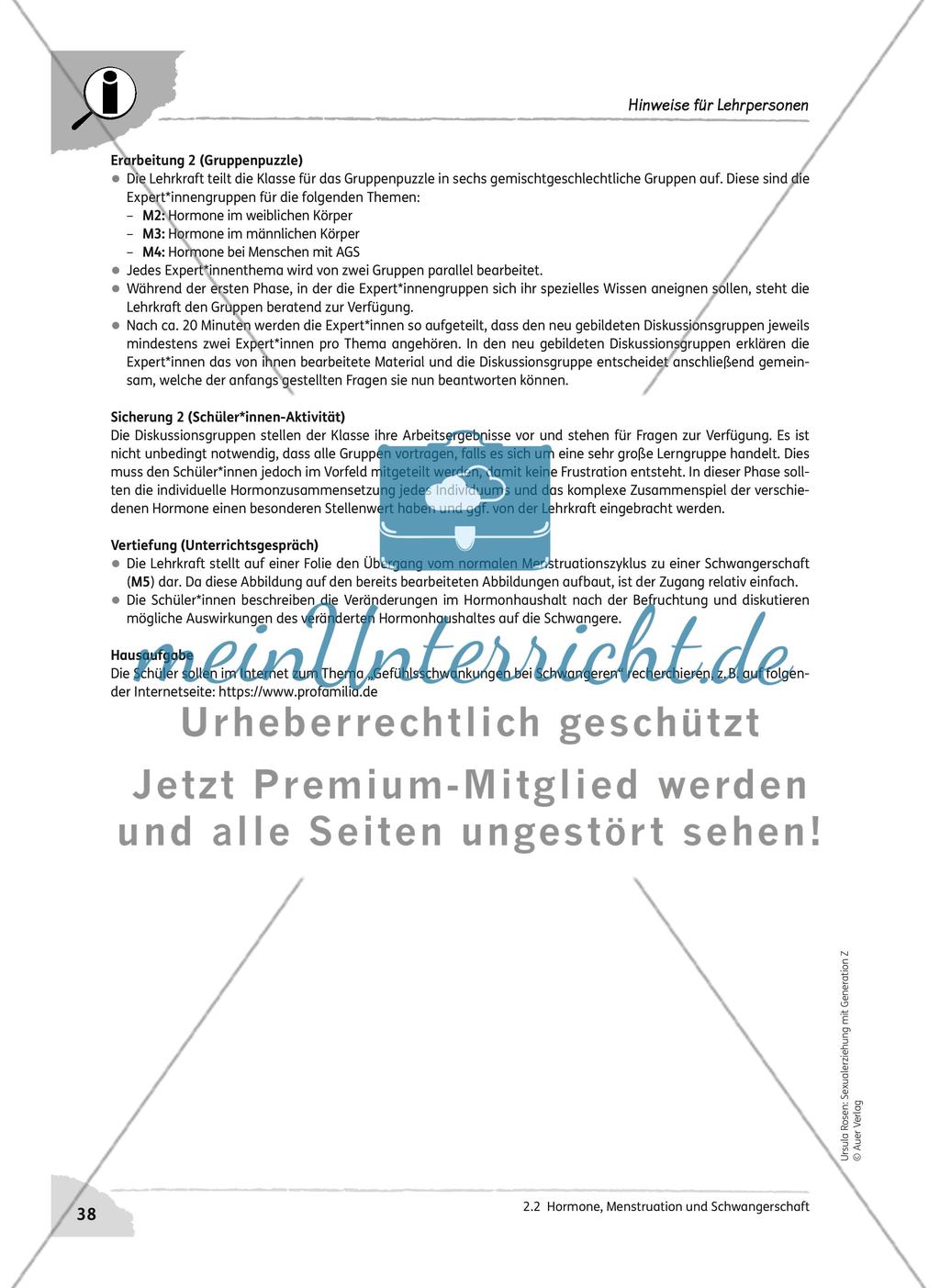 Hormone, Menstruation und Schwangerschaft Preview 2