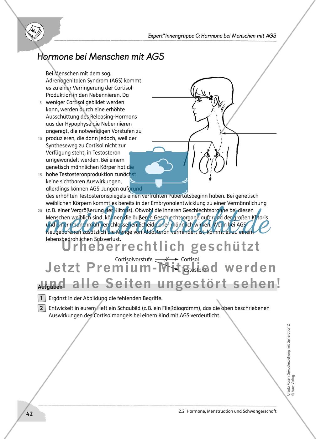 Hormone, Menstruation und Schwangerschaft Preview 6