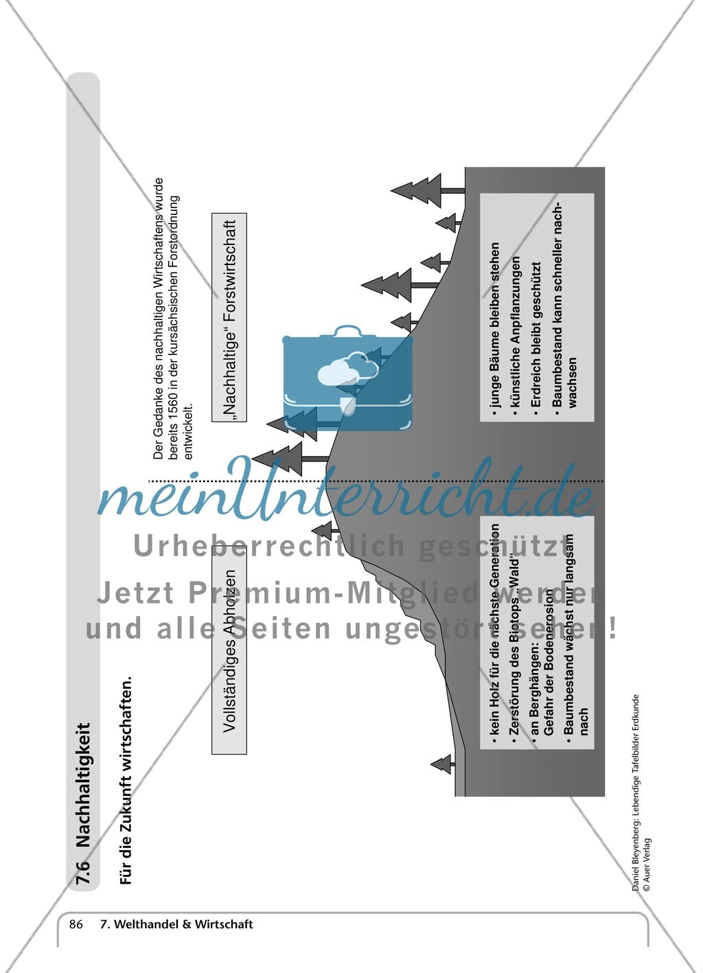 Welthandel & Wirtschaft Preview 13