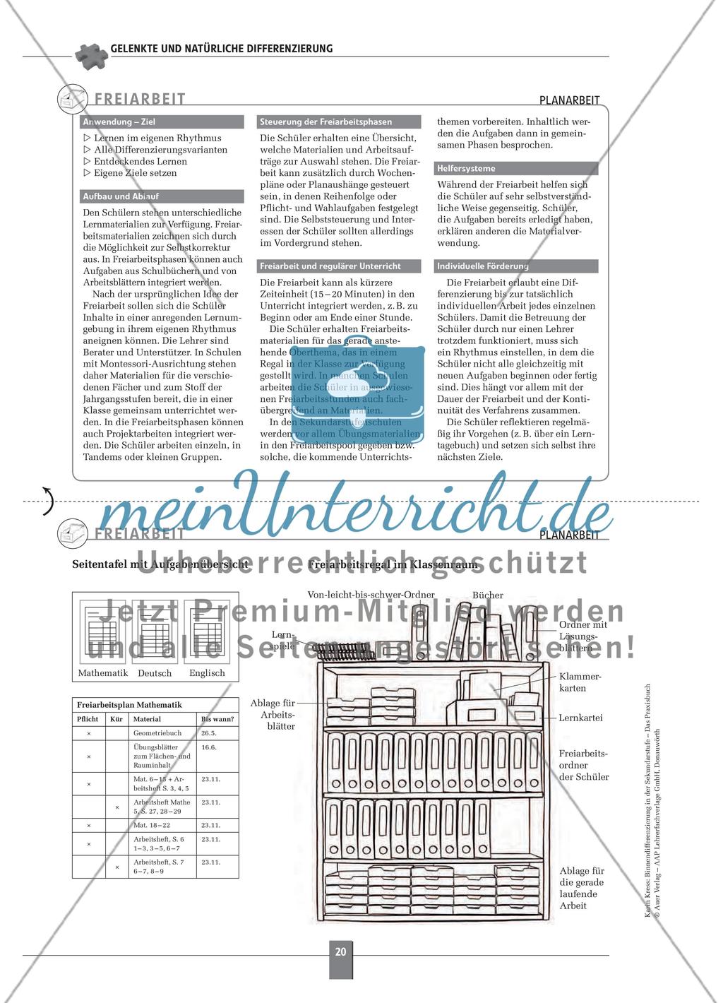 Gelenkte und natürliche Differenzierung Preview 13
