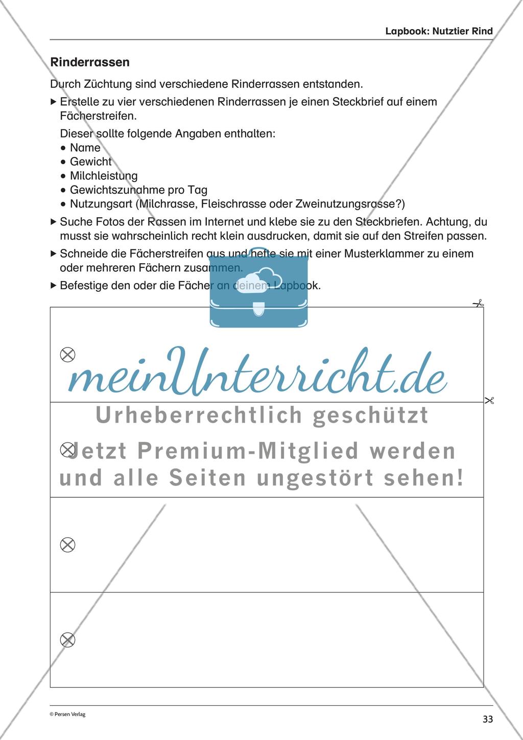 Lapbook: Nutztier Rind Preview 1