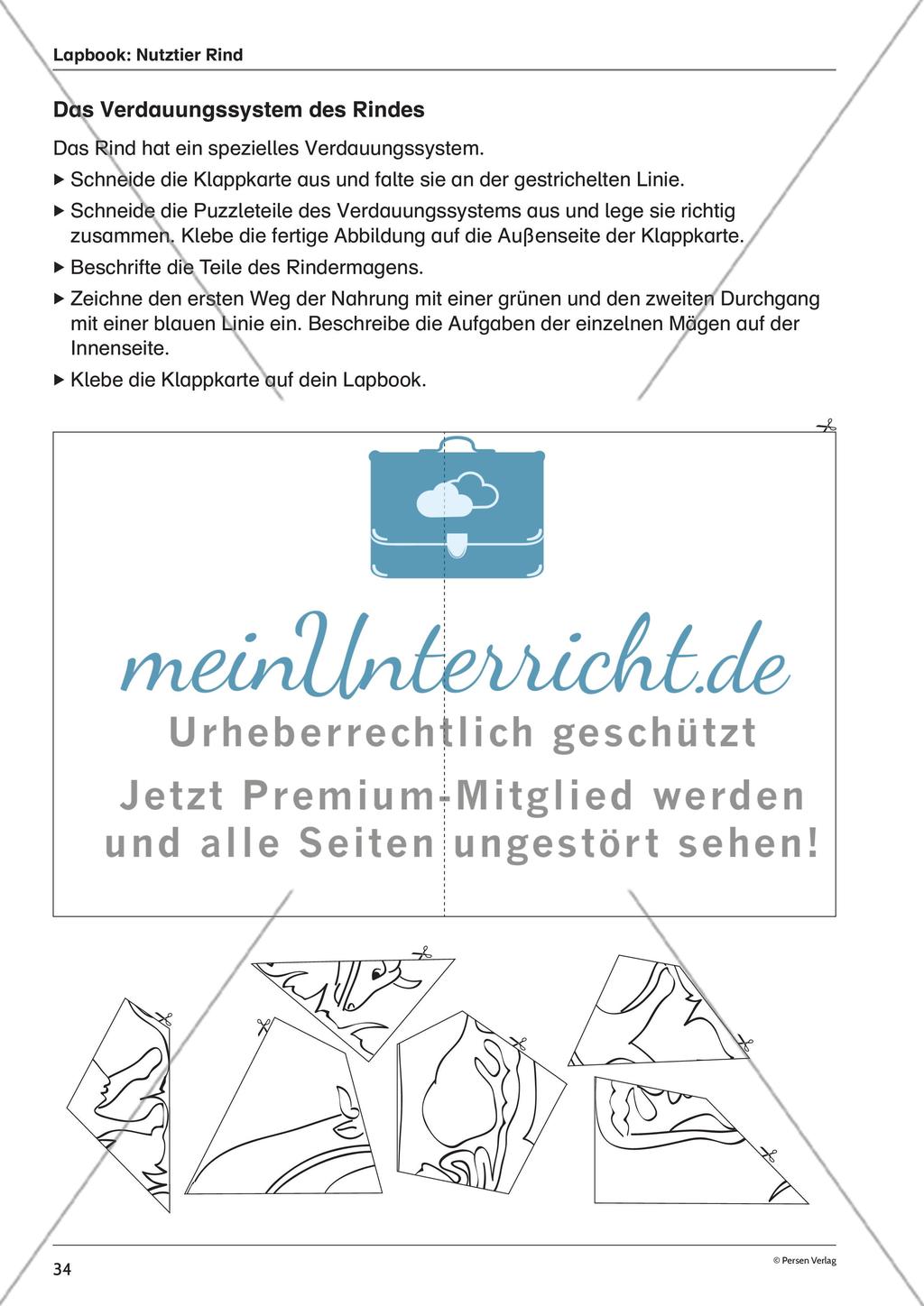 Lapbook: Nutztier Rind Preview 2